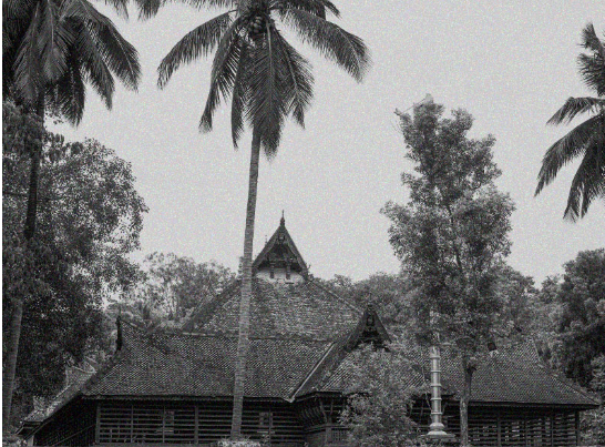 Kerala Kalamandalam 2007